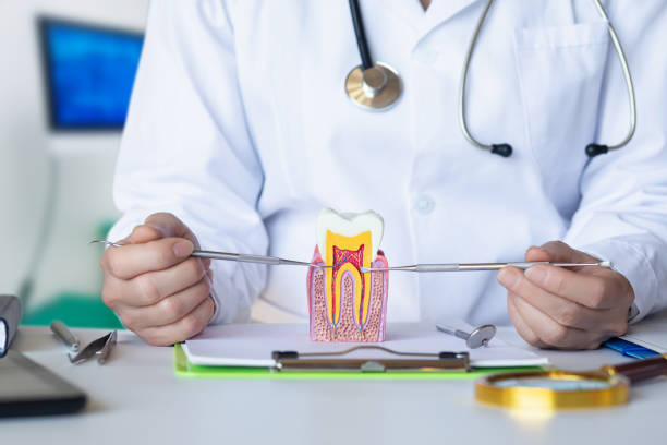 Best Broken or Cracked Tooth Emergency Dentist in Bentleyville, PA